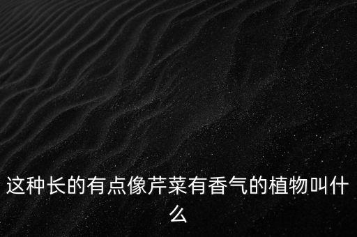 这种长的有点像芹菜有香气的植物叫什么
