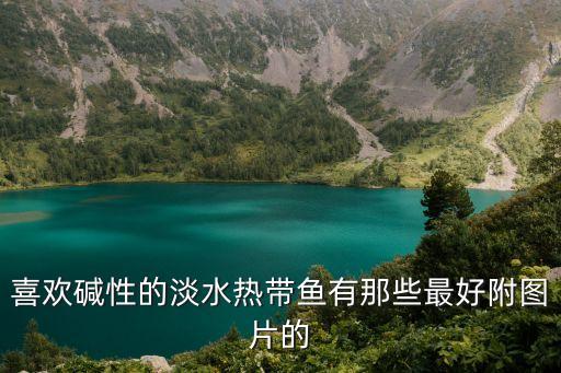 喜欢碱性的淡水热带鱼有那些最好附图片的