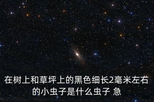 蓟马虫图片，在树上和草坪上的黑色细长2毫米左右的小虫子是什么虫子 急
