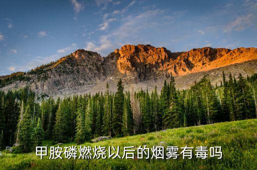 甲胺磷燃烧以后的烟雾有毒吗