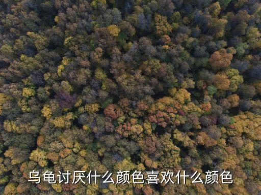 乌龟讨厌什么颜色喜欢什么颜色