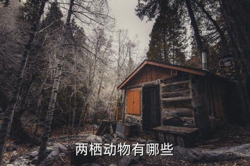 两栖爬行动物，爬行两栖动物有哪些