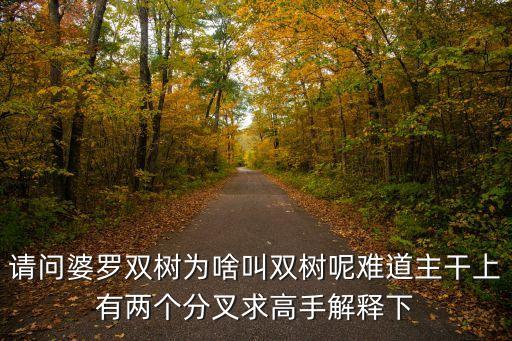 婆罗树，请问婆罗双树为啥叫双树呢难道主干上有两个分叉求高手解释下