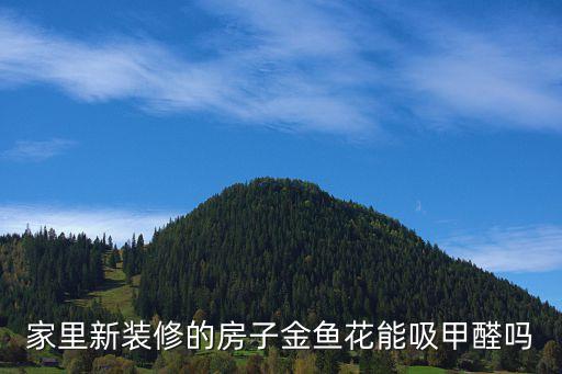 家里新装修的房子金鱼花能吸甲醛吗