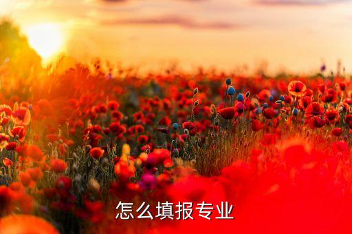 怎么填报专业