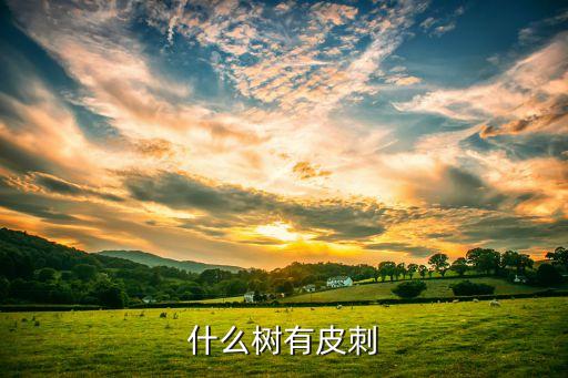 皮刺，宝宝手上起皮刺怎么办