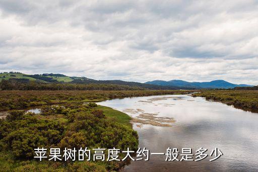 苹果树的高度大约一般是多少