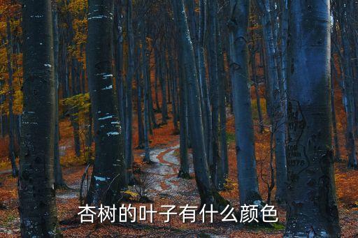 杏树的叶子有什么颜色