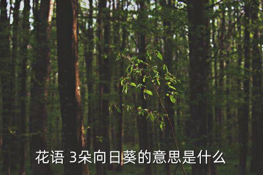 花语 3朵向日葵的意思是什么