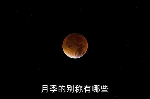 月季简介，月季花的资料