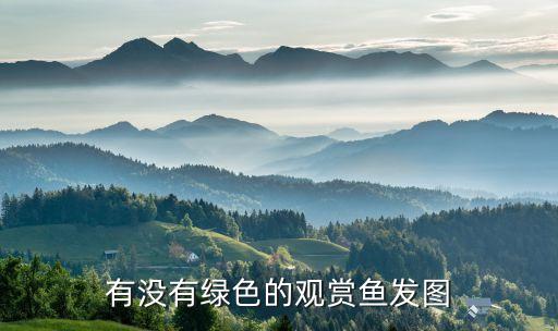 有没有绿色的观赏鱼发图