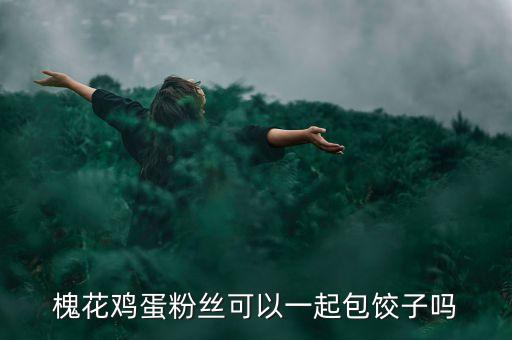 槐花鸡蛋粉丝可以一起包饺子吗