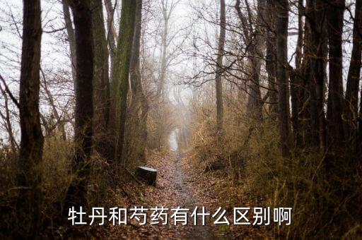 牡丹和芍药有什么区别啊