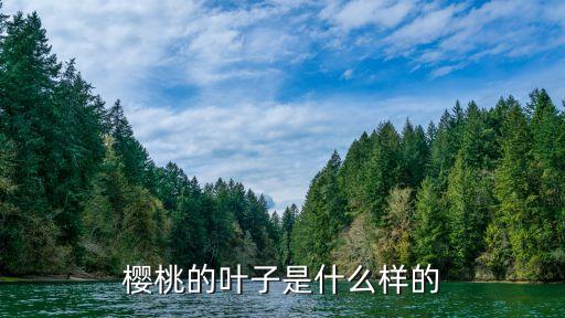 樱桃的叶子是什么样的