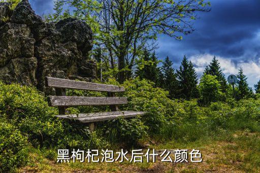 黑枸杞泡水是什么颜色，黑枸杞泡出的应该是什么颜色