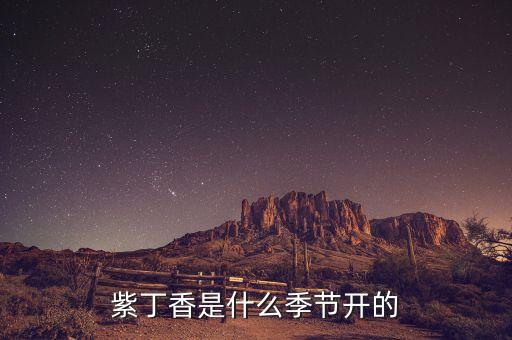 八月丁香，紫丁香是什么季节开的