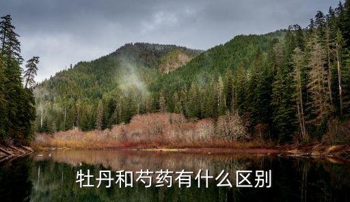 牡丹和芍药有什么区别