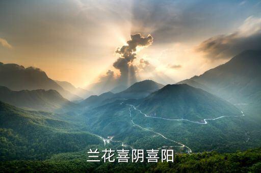 兰花喜阴还是喜阳，兰花喜好阳面还是阴面