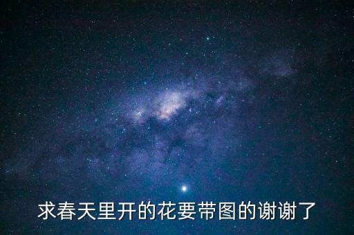 春天花的图片，春季草花图