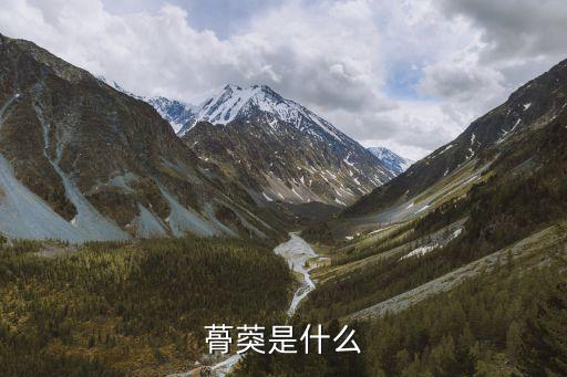 蓇葖果，有人知道这是什么果实吗