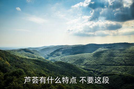 芦荟有什么特点 不要这段