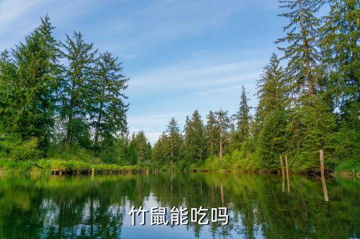 竹鼠能吃吗