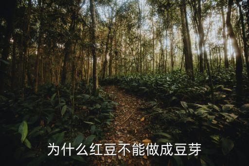 红豆芽，红豆发的芽能吃吗