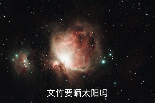 文竹要晒太阳吗，文竹能晒太阳吗