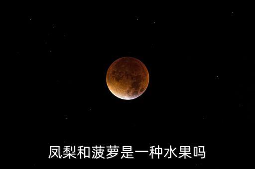 凤梨和菠萝是一种水果吗，凤梨和菠萝是一种水果吗