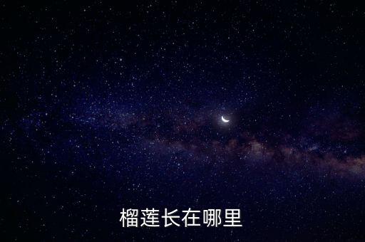 榴莲长在哪里