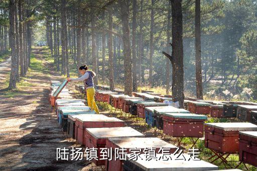 陆扬镇到陆家镇怎么走