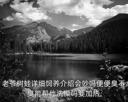 姥爷树蛙，老爷树蛙详细饲养介绍会吵吗便便臭不臭能帮他洗澡吗要加热