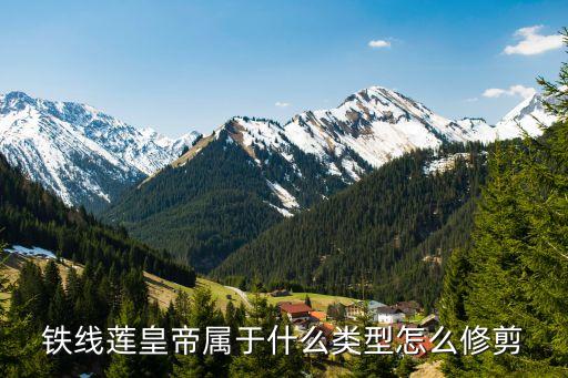 铁线莲皇帝，铁线莲皇帝属于什么类型怎么修剪