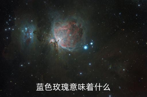 蓝色玫瑰意味着什么