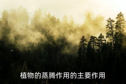 植物的蒸腾作用的主要作用