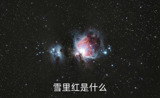 雪里红是什么菜，什么是雪里红