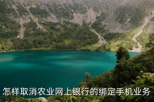 怎样取消农业网上银行的绑定手机业务