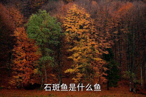 石斑，石斑又叫什么