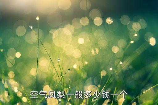 凤梨价格，空气凤梨一般多少钱一个