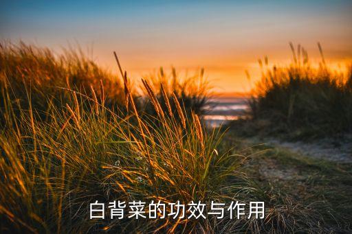 白背菜的功效与作用