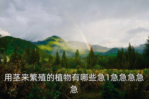 用茎繁殖的植物，什么植物用茎繁殖
