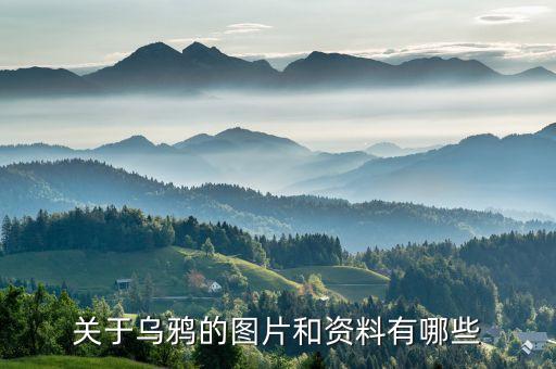 关于乌鸦的图片和资料有哪些
