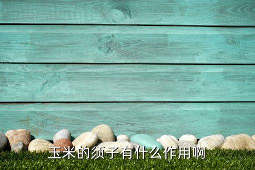 玉米的须子有什么作用啊