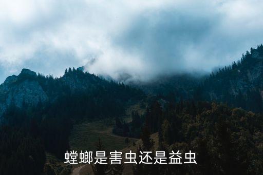 螳螂是害虫还是益虫