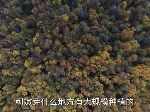 刺嫩芽树，刺嫩芽什么地方有大规模种植的