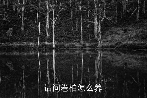 请问卷柏怎么养