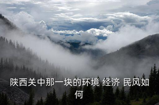 陕西关中那一块的环境 经济 民风如何