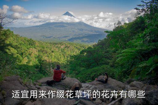 野花组合，有谁知道那里有比较好的野花组合种子