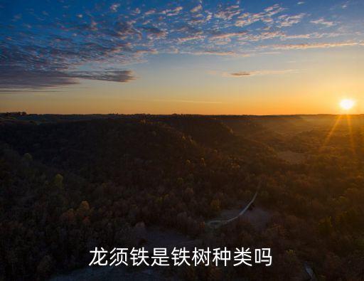 龙须铁是铁树种类吗