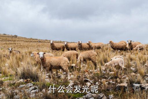 什么会发光呢